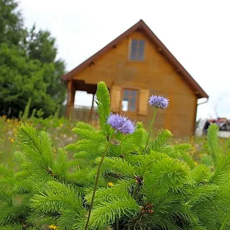 Nad Jeziorem * Sierakowice (Pomerania)